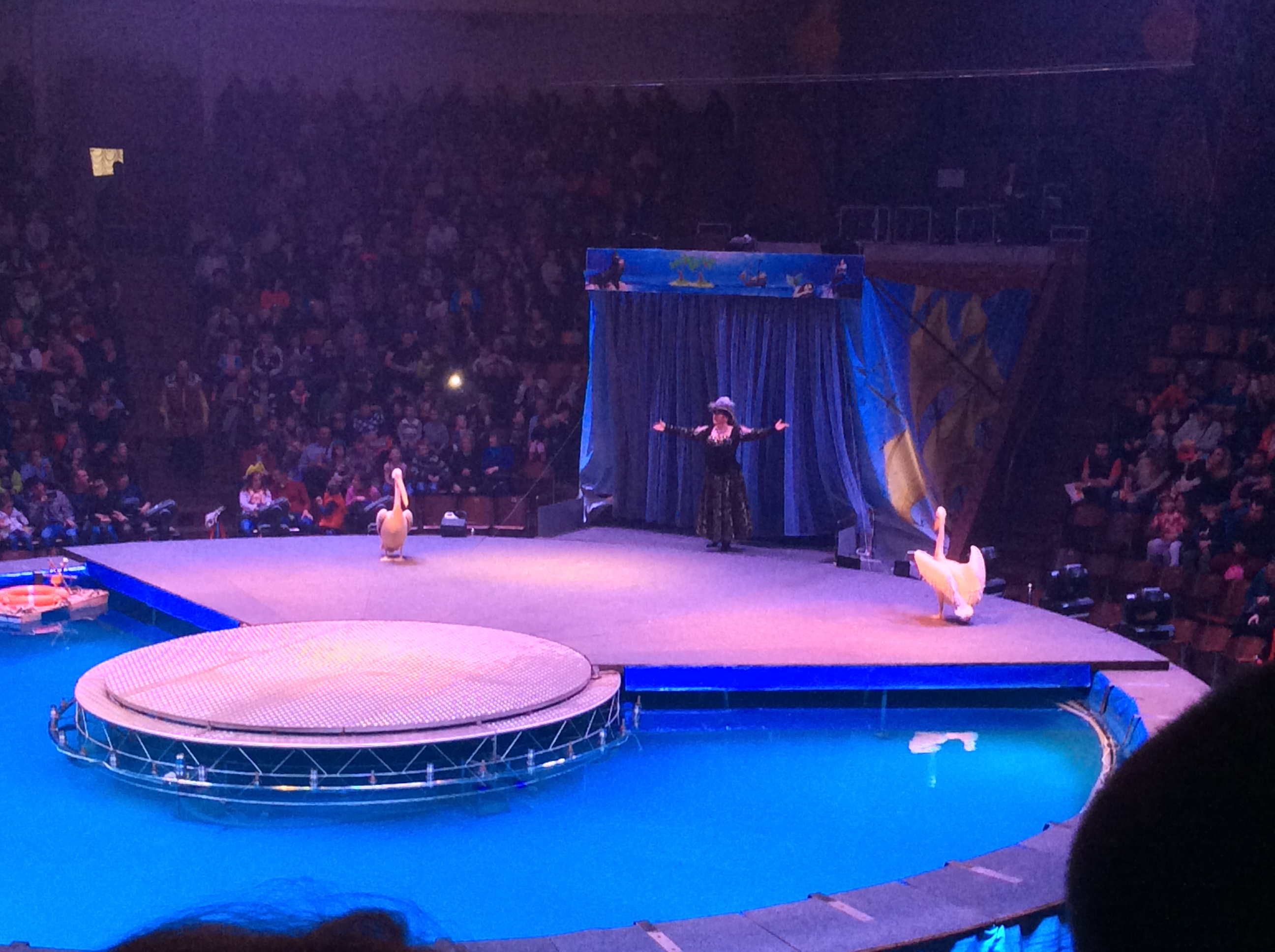 Water and fire -Circus in the water - National Circus of Ukraine (9)