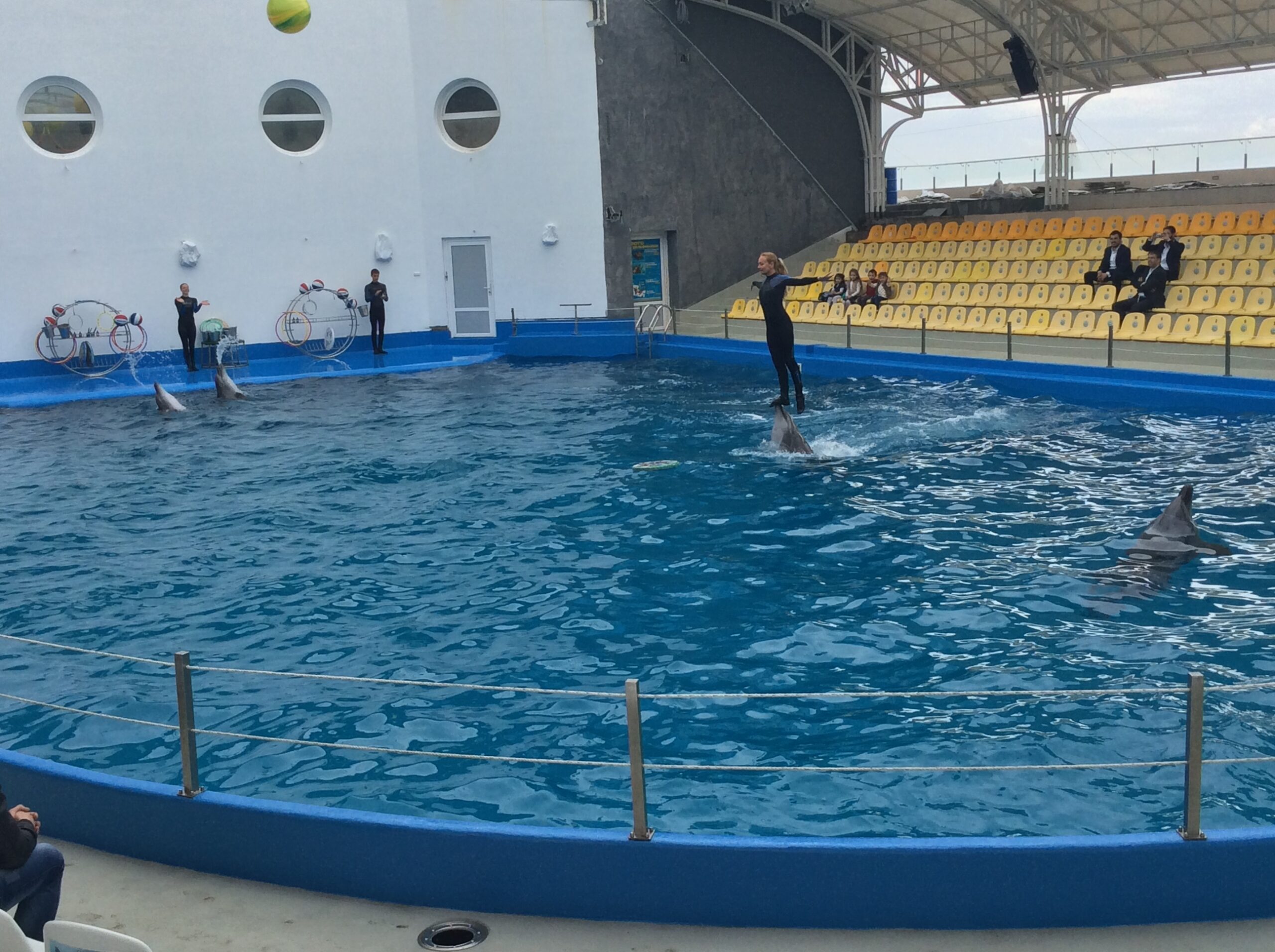 Odessa dolphinarium NEMO (3)