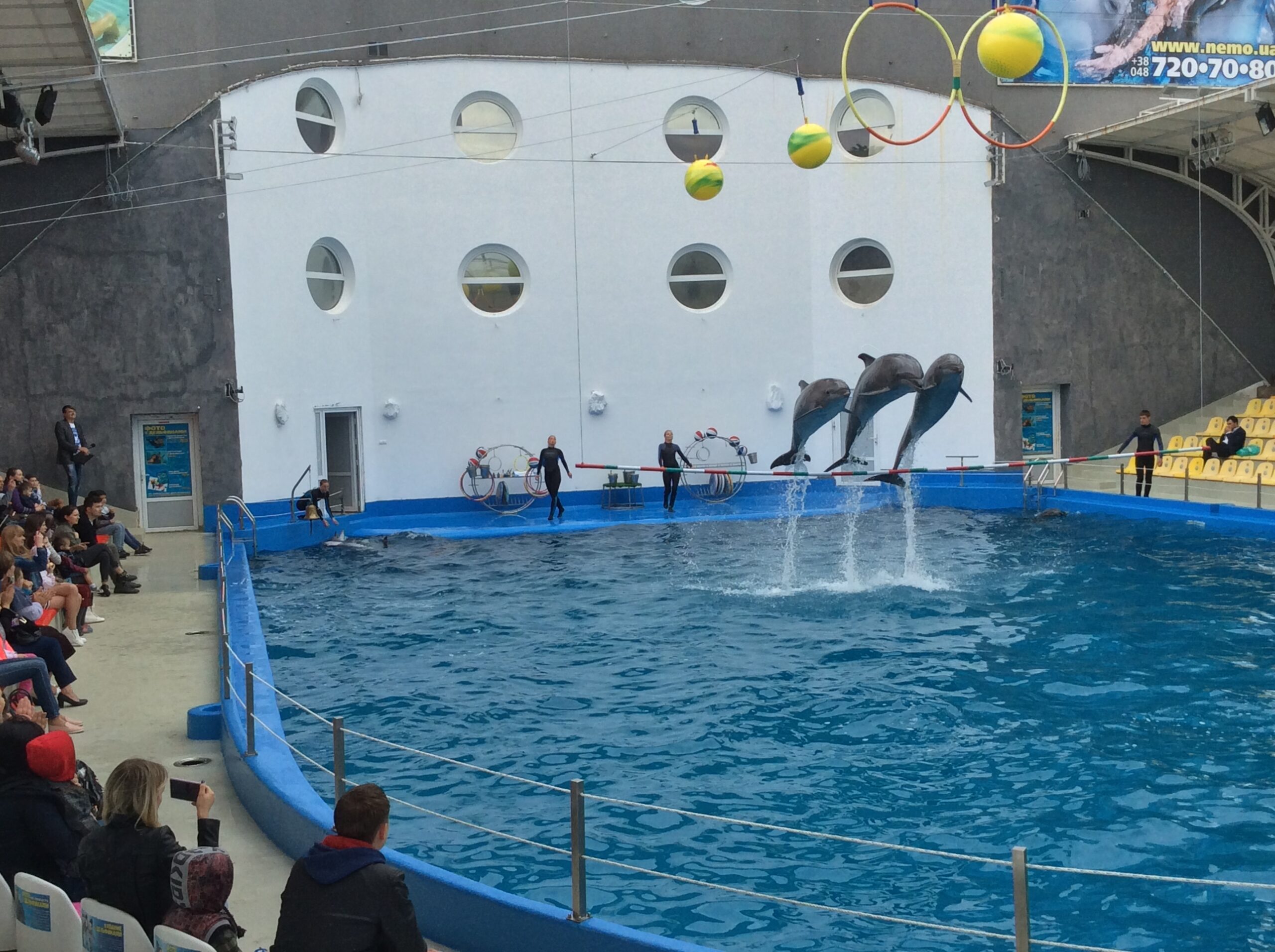 Odessa dolphinarium NEMO (4)