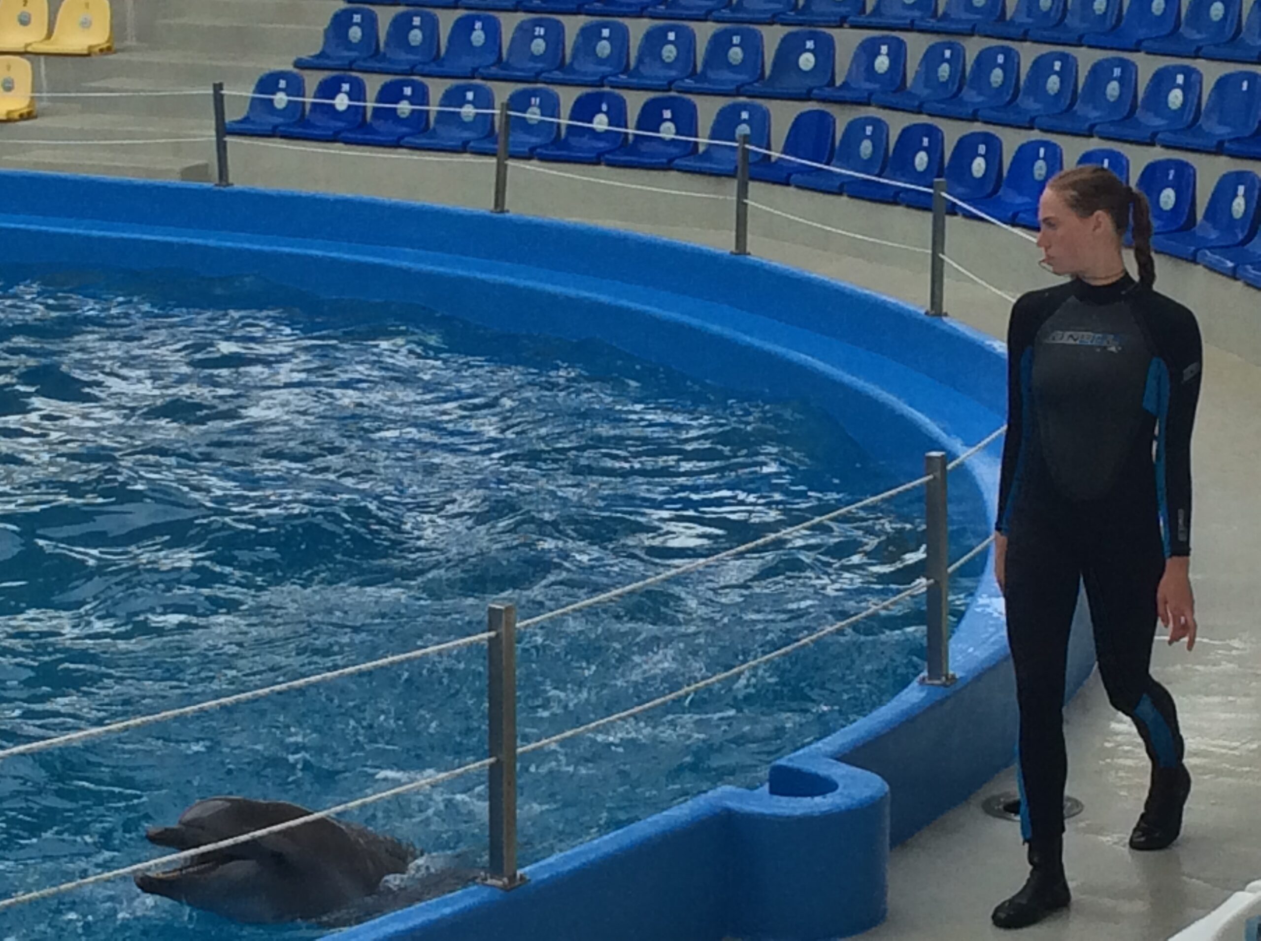 Odessa dolphinarium NEMO (5)